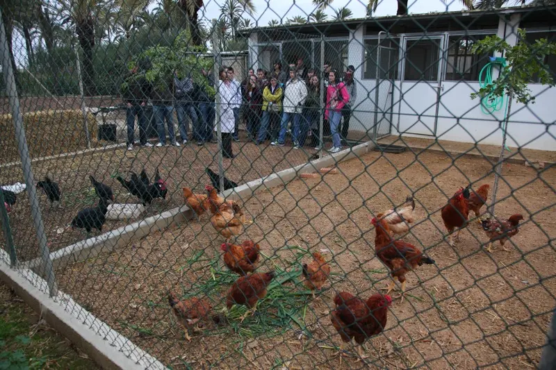 Estación Experimental Agroalimentaria “Tomás Ferro”